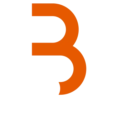 Audit